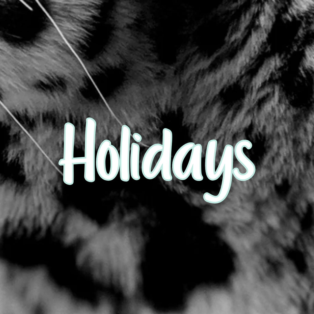 Holidays