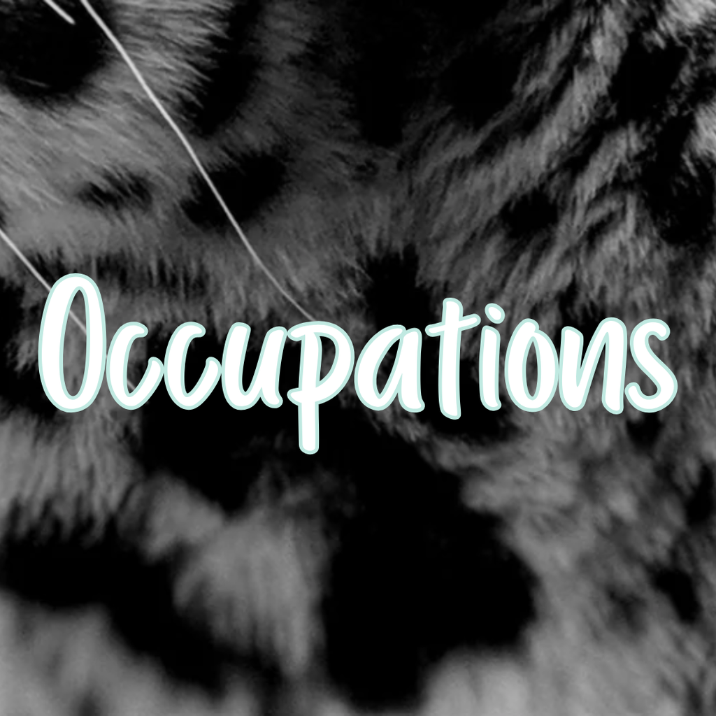 Occupations