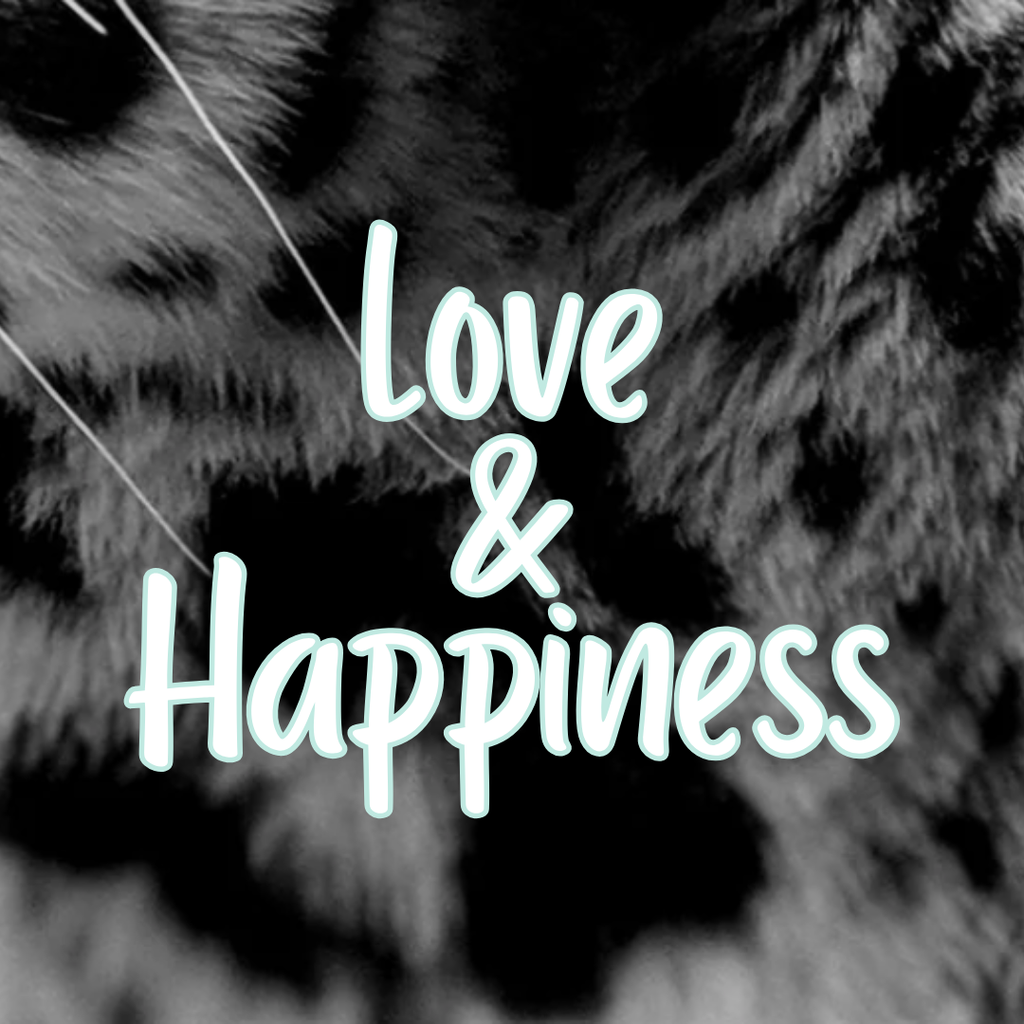 Love & Happiness