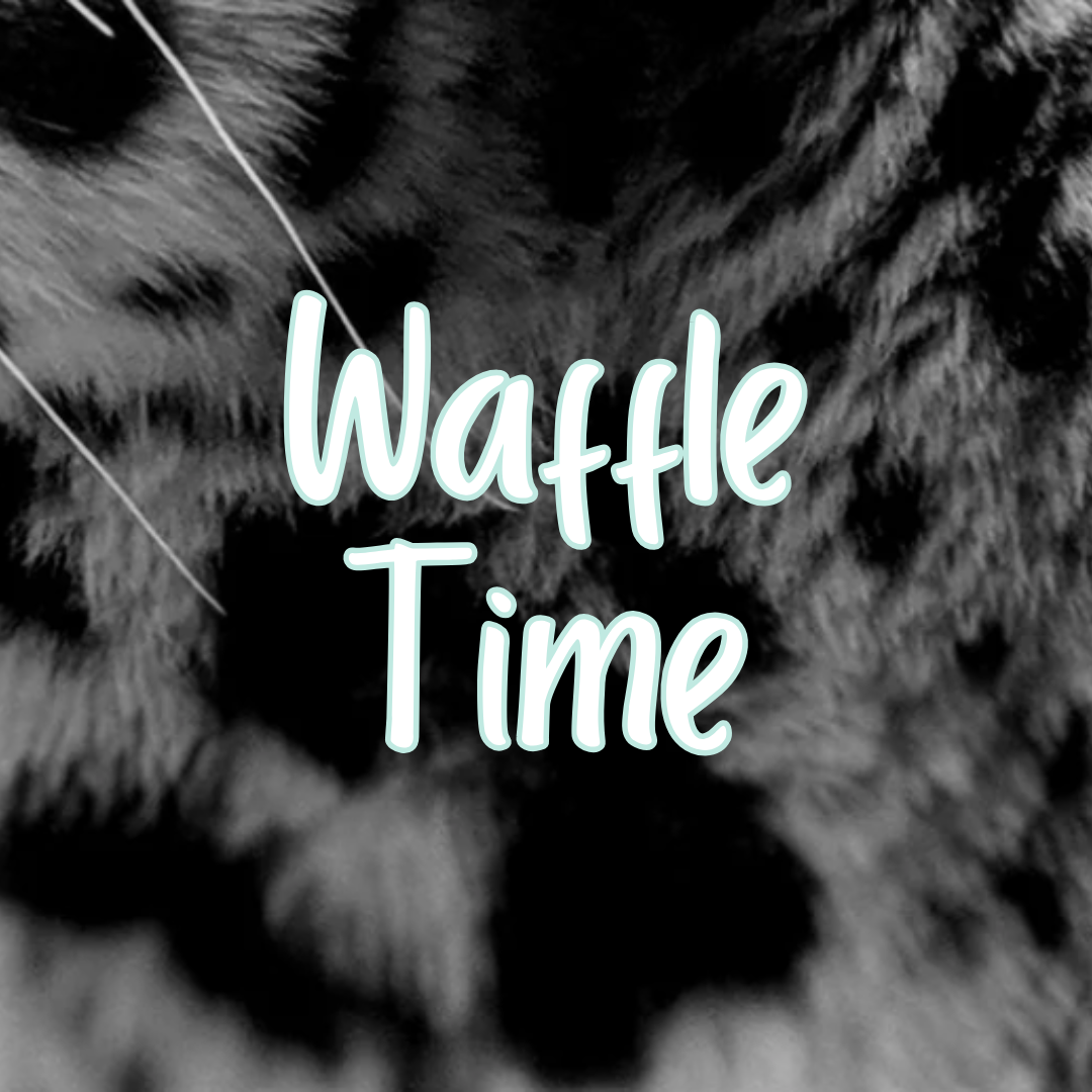 Waffle Time