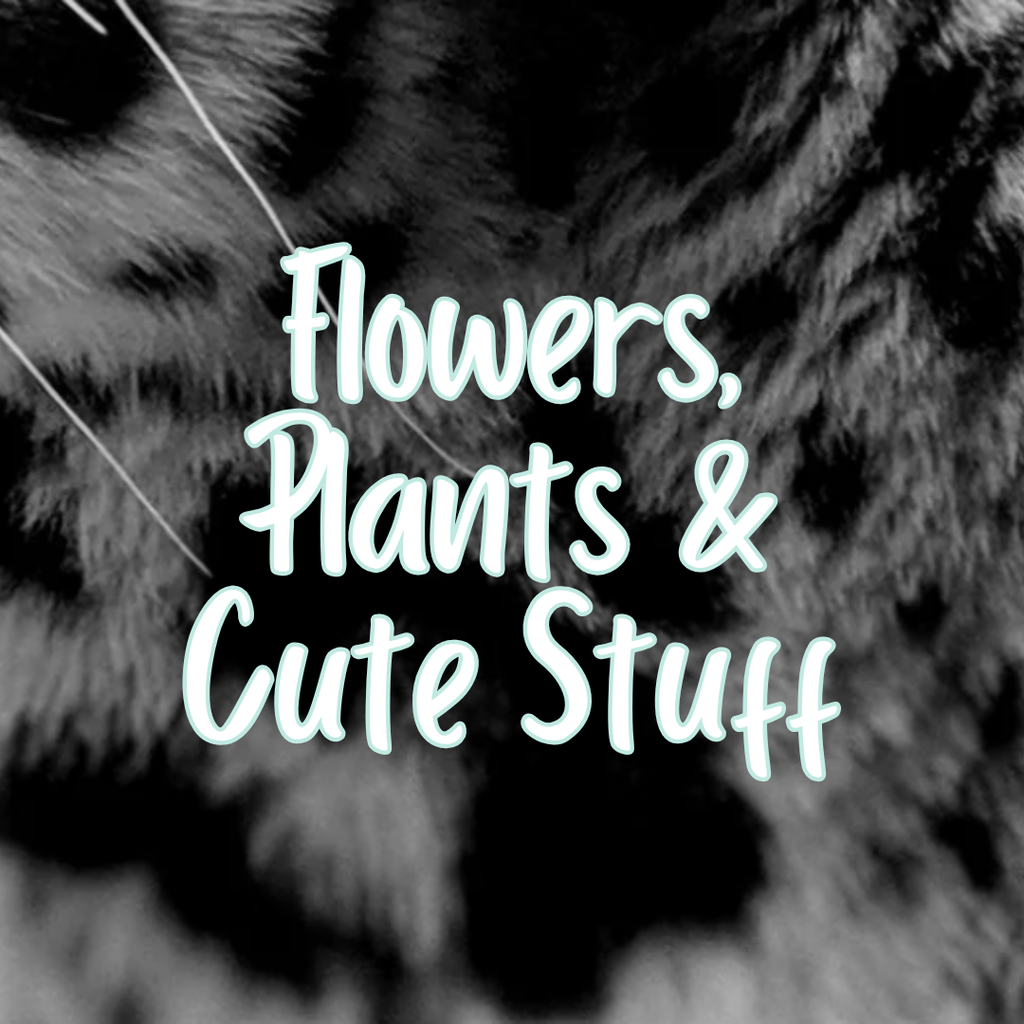 Flowers, Plants, & Cute Stuff
