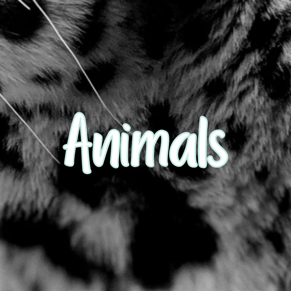 Animals