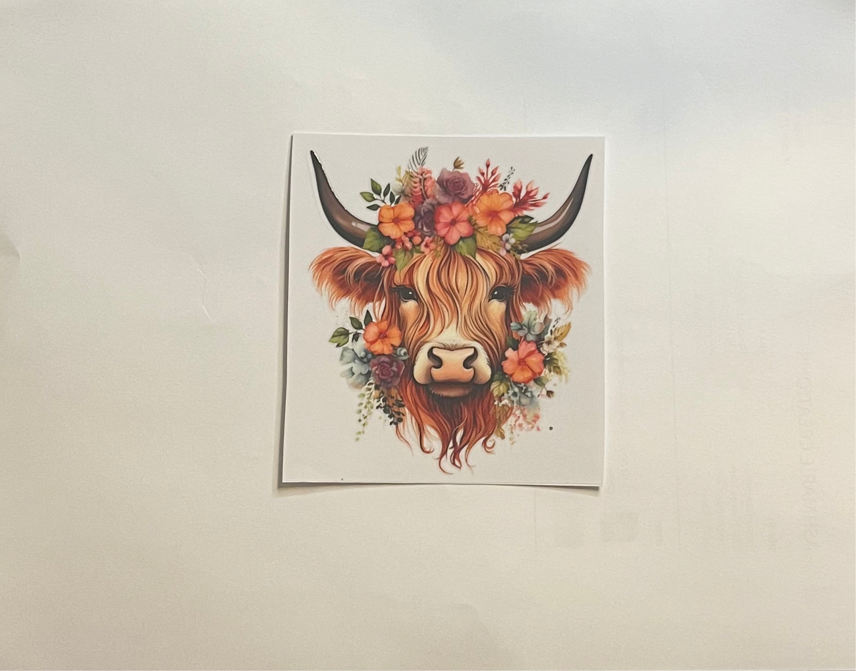 Highland peach flower