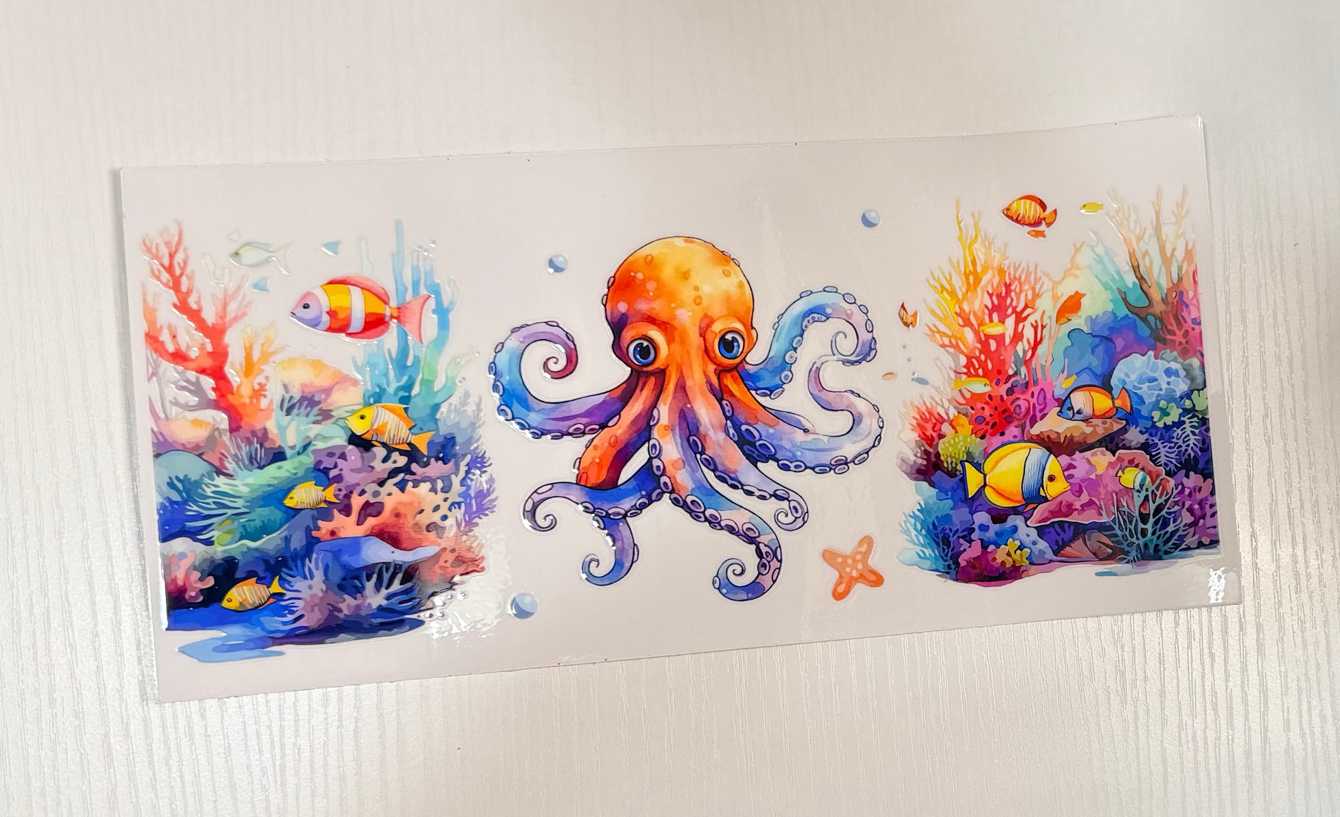 Octopus ocean