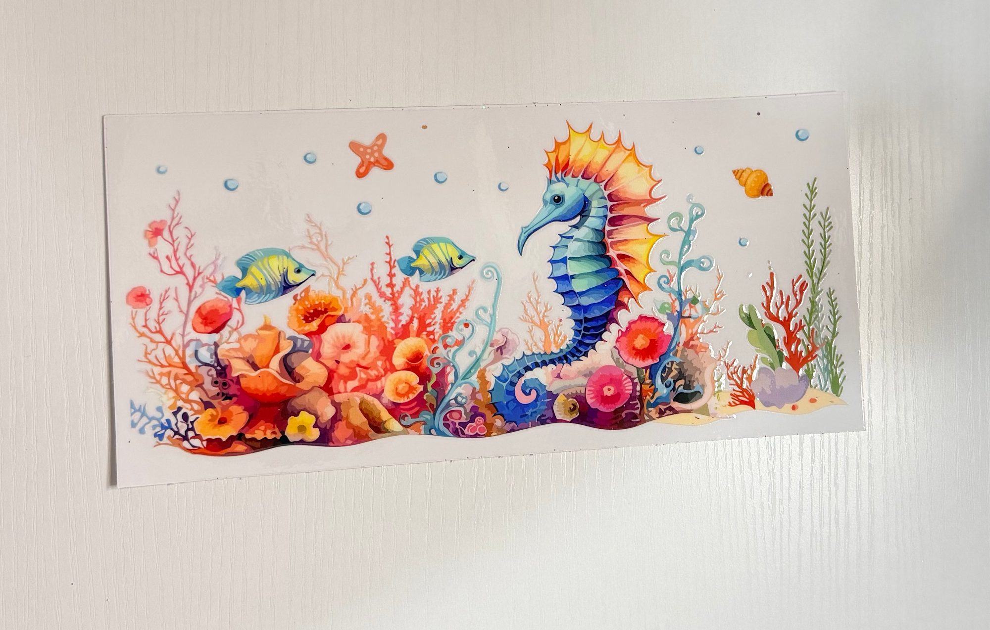 Seahorse ocean